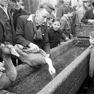 Bethnal Green Street Pet Market Print 1946 Bethnal Green Street Pet Market Print 1946