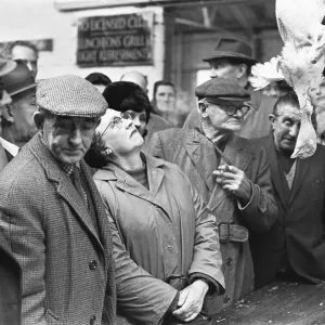 Bidders eyeing up the next bird to go under the hammer at the Christmas Turkey Auction Bidders eyeing up the next bird to go under the hammer at the Christmas Turkey Auction