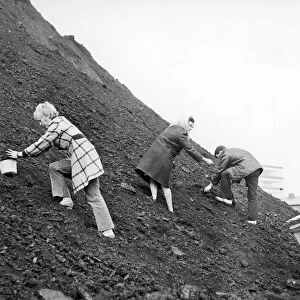 Big coal klondyke in Barmulloch Glasgow, as the local residents dig for coal in the bing