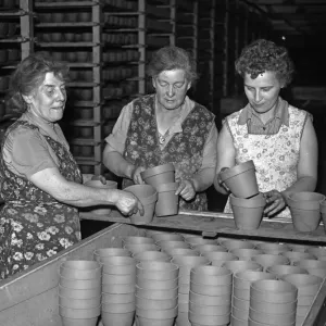Bilston Pottery 5th May 1958 Women in the drying room loading flower pots ready to Bilston Pottery 5th May 1958 Women in the drying room loading flower pots ready to