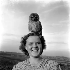 Birds Humour. On me ead son. Kathleen Goddard seen with Toby the owl perch Birds Humour. On me ead son. Kathleen Goddard seen with Toby the owl perch
