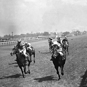 Birmingham Race course. Del Silva (right) winning the Tile Hill Plate from Scarlet