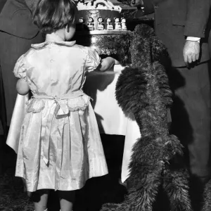 La fille de la fête et le chien poodle vu ici admirant le gâteau d'anniversaire.