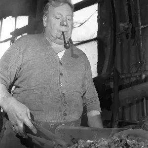 Blacksmith Horace Tubby Lovegrove seen here at work at his forge Blacksmith Horace Tubby Lovegrove seen here at work at his forge