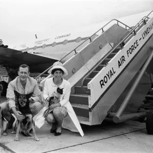 Blue Peter Presenters at RAF Lyneham, 1966 Art Prints