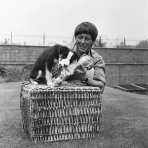 Blue Peter presenter John Noakes, seen here with the programmes new border collie puppy