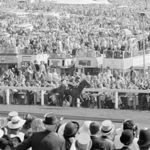 Blushing Groom No 3 seen here in the final furlong of the 1977 Derby Blushing Groom No 3 seen here in the final furlong of the 1977 Derby