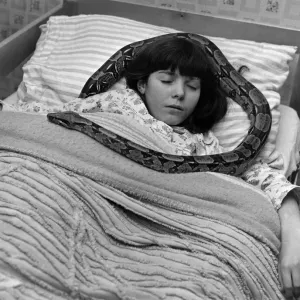 Boa constrictor Eve certainly has a crush on eleven year old Margaret Dolan Boa constrictor Eve certainly has a crush on eleven year old Margaret Dolan