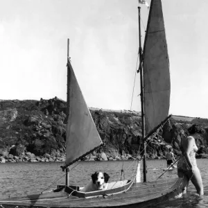 Bob the dog enjoys himself alone in the canoe towed along by friend Bob the dog enjoys himself alone in the canoe towed along by friend