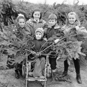 1992 Christmas Tree Collection Print by Memory Lane Prints 1992 Christmas Tree Collection Print by Memory Lane Prints