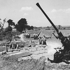 A bofors gun manned by regular soldiers on the mixed battery during WW2 1944