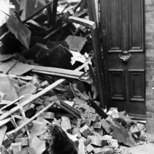 Bomb damage in Liverpool. Shep, the old dog standing outside the door of his home after Bomb damage in Liverpool. Shep, the old dog standing outside the door of his home after