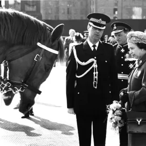Police Horse Respects Queen at Merseyside HQ Print Police Horse Respects Queen at Merseyside HQ Print