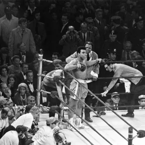 Fight of the Century Print: Frazier vs Ali, March 8, 1971 Fight of the Century Print: Frazier vs Ali, March 8, 1971