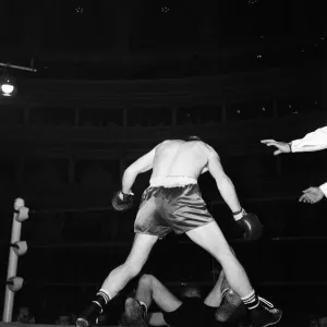 Boxing at The Royal Albert Hall. Liverpools Pat Dwyer (standing Boxing at The Royal Albert Hall. Liverpools Pat Dwyer (standing