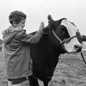 A boy at Stokesley show. Stokesley, North Yorkshire. 1973 A boy at Stokesley show. Stokesley, North Yorkshire. 1973
