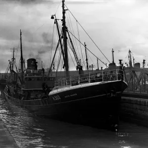 The Boyd Line Fleet Sidewinder Trawler Arctic Invader Print The Boyd Line Fleet Sidewinder Trawler Arctic Invader Print