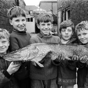Five boys with a large pike, Print