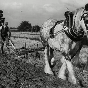 Brailsford ploughing match 15th October 1963