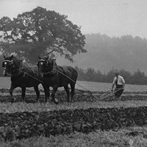 Brailsford ploughing match 15th October 1970
