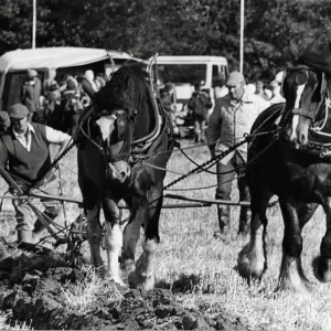 Match de labour Brailsford 15 octobre 1981