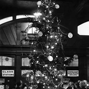 Brightening up Victoria station, Manchester, is this Christmas Tree