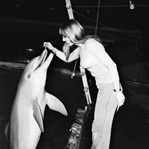 BrightonIs Dolphinarium: Baby the youngest dolphin at BrightonIs Dolphinarium was