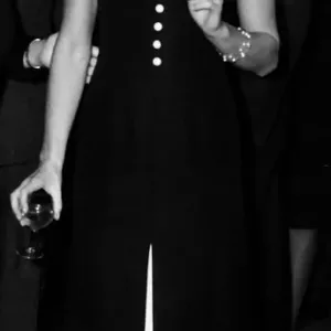 Brigitte Bardot French actress at hotel reception October 1963 London Brigitte Bardot French actress at hotel reception October 1963 London