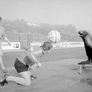 Bristol City football player Kevin Mabbutt heads the ball to a sea lion at a photocall at