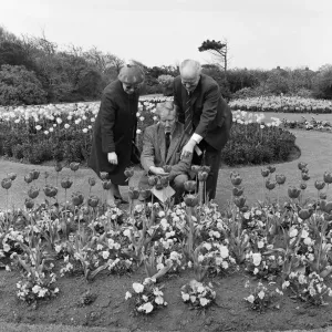 1971 Britain in Bloom Judges in Redcar Print (01071) 1971 Britain in Bloom Judges in Redcar Print (01071)