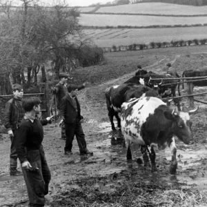 Ragazzi britannici per fattorie britanniche. L'Open Door a una carriera agricola è stato Ragazzi britannici per fattorie britanniche. L'Open Door a una carriera agricola è stato