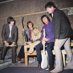 British rock group The Troggs with their rent a lion during the recording of their single British rock group The Troggs with their rent a lion during the recording of their single