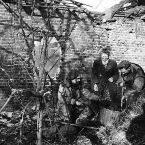British soldiers gather fuel for an elderly Dutch woman outside the ruins of her home in British soldiers gather fuel for an elderly Dutch woman outside the ruins of her home in