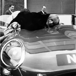 Britt Ekland attrice con la sua E Type Jaguar in 1967.