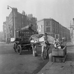 Bromley by Bow coal merchant Charles Franklin horses and cart delivery wagon takes a