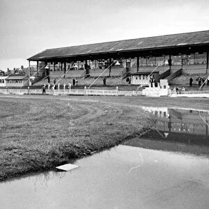 Brough Park Greyhound racing Stadium. 7th June 1980
