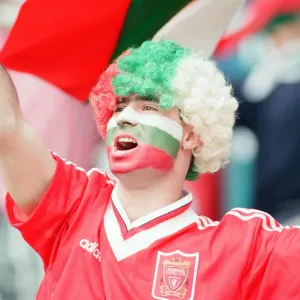 Bulgaria 1-0 Romania, Euro 1996 Group B match at St James Park, Newcastle Bulgaria 1-0 Romania, Euro 1996 Group B match at St James Park, Newcastle