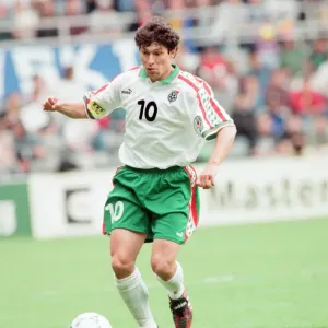Bulgaria 1-0 Romania, Euro 1996 Group B match at St James Park, Newcastle Bulgaria 1-0 Romania, Euro 1996 Group B match at St James Park, Newcastle