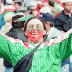 Bulgaria 1-0 Romania, Euro 1996 Group B match at St James Park, Newcastle Bulgaria 1-0 Romania, Euro 1996 Group B match at St James Park, Newcastle