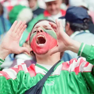 Bulgaria 1-0 Romania, Euro 1996 Group B match at St James Park, Newcastle Bulgaria 1-0 Romania, Euro 1996 Group B match at St James Park, Newcastle