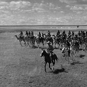 The Camel Corps of the Kings African Rifles October 1945 on the great