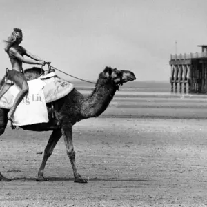 Camel Racing on Southport Beach, May 22nd 1984 Print