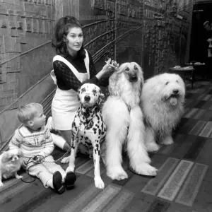 Canine stars of the Film and Television. Also pictured with Hotara 2 1 / 2 year old