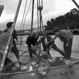 Cannon being recovered from South Quay on Torquay harbour in February 1973 Cannon being recovered from South Quay on Torquay harbour in February 1973