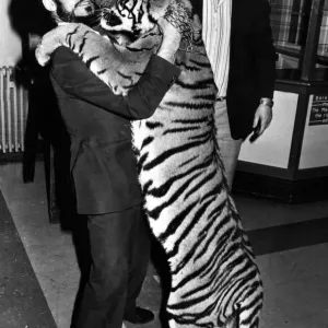 Le propriétaire du zoo de Cardiff, M. George Palmer, a emmené sa tigresse bengali Kali à la réunion annuelle de