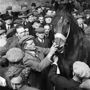 Cart and Van Horse Auction, New Kent Road, London, circa December 1947 Cart and Van Horse Auction, New Kent Road, London, circa December 1947