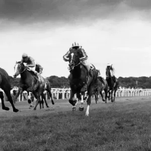 Get Carter... and top jockey Steve Couthen couldn t at Gosforth Park Get Carter... and top jockey Steve Couthen couldn t at Gosforth Park