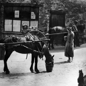 Carts and Ponies Print, Circa 1935