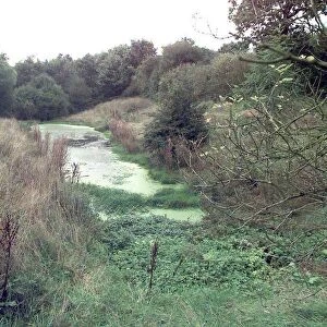 The Castle Moat in Hartshill, near Nuneaton in Warwickshire