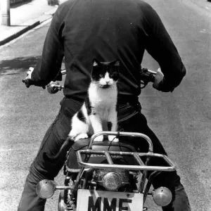 Cat Maurice on Motorcycle Pillion Print circa 1973